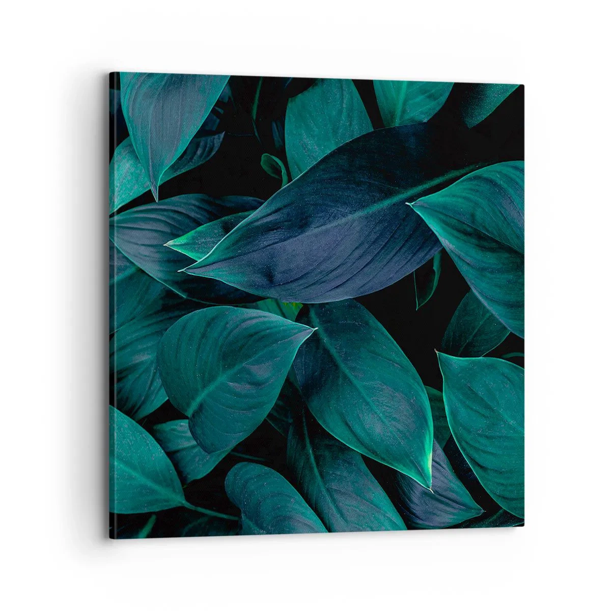 Vászonkép - Maga a zöldellő növényzet - 70x70 cm