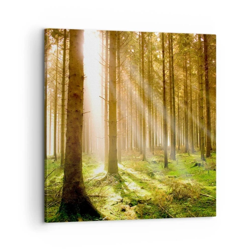 Vászonkép - Hamarosan megjelennek az álfok - 60x60 cm