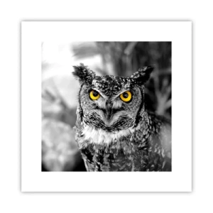 Poszter - Semmi sem fog elbújni - 30x30 cm