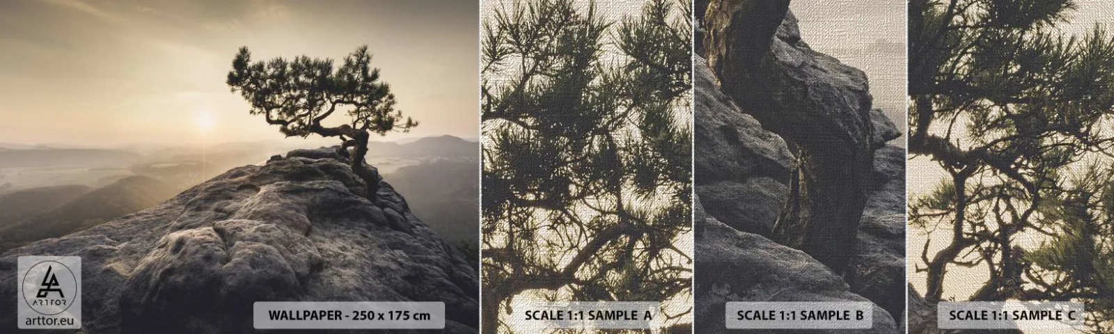 Fotótapéta Minta Premium Canvas - Az élet mindig győz - Hegyi táj, Fenyő, Hegyek - 100x30 cm