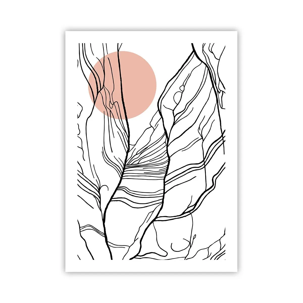 Poszter - Gallyak hálójában - 50x70 cm