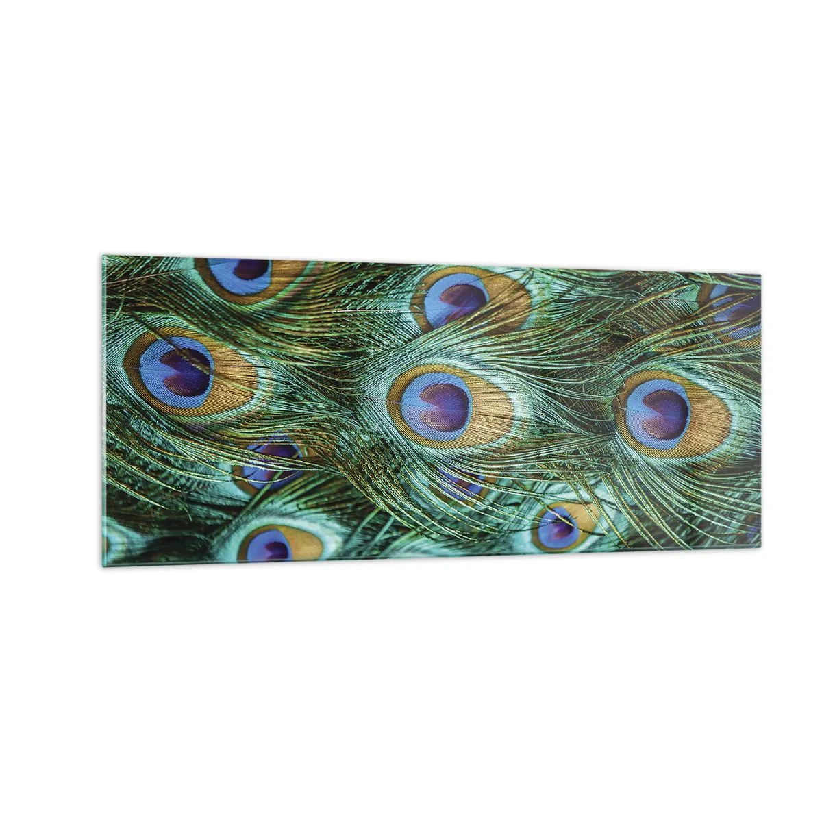 Üveg kép - Pávaszemű pillantás - 100x40 cm