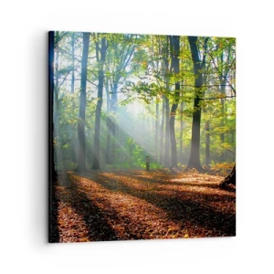 Vászonkép - Ragyogások és árnyékok - 50x50 cm