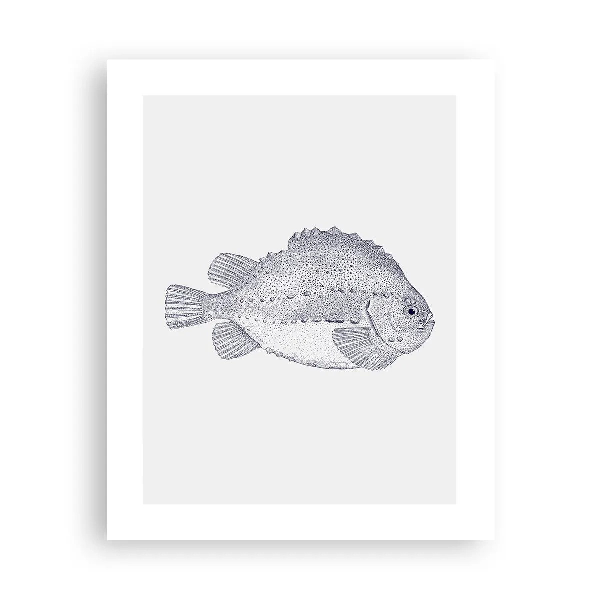 Poszter - A természettudós albumába - 40x50 cm