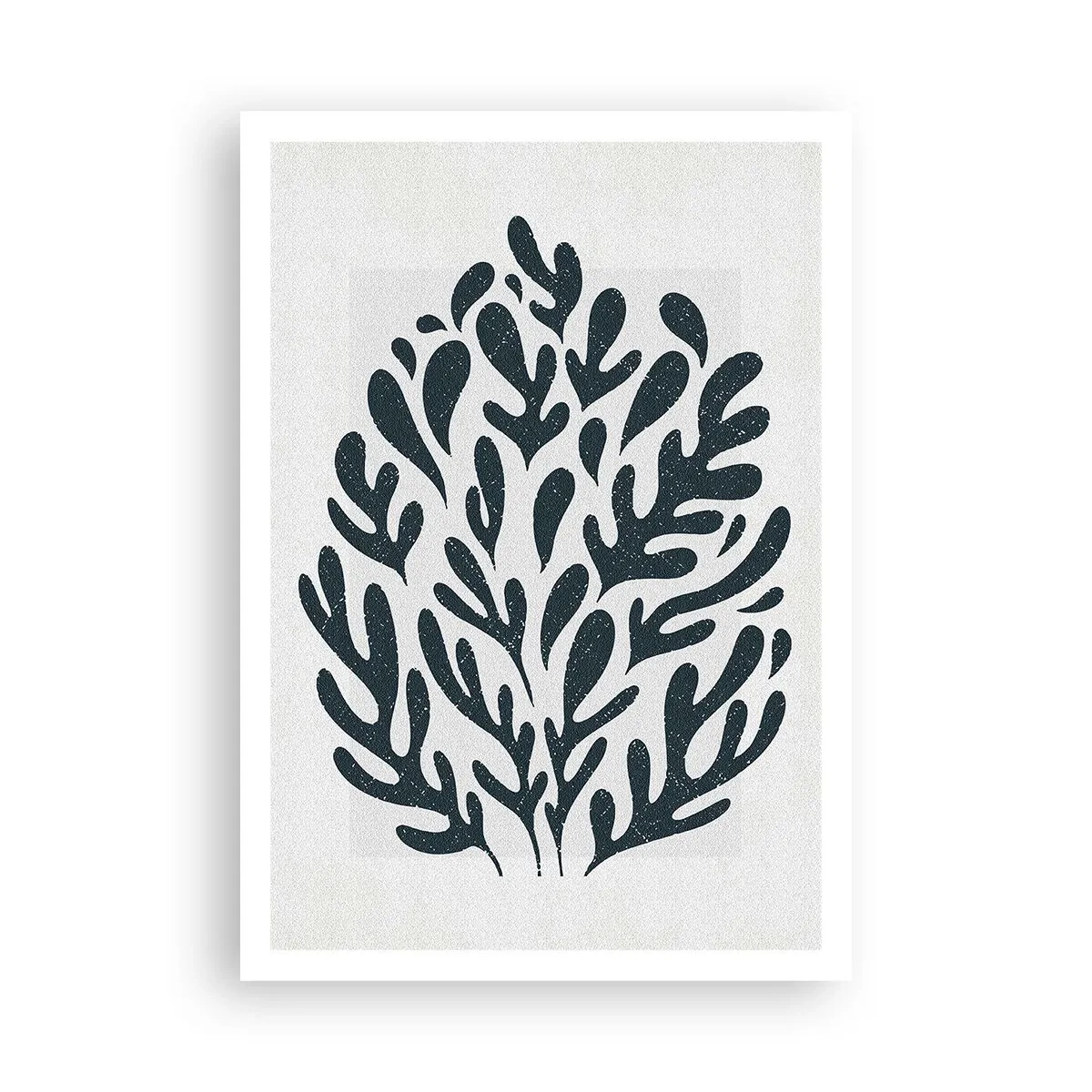 Poszter - A természet formái - 70x100 cm