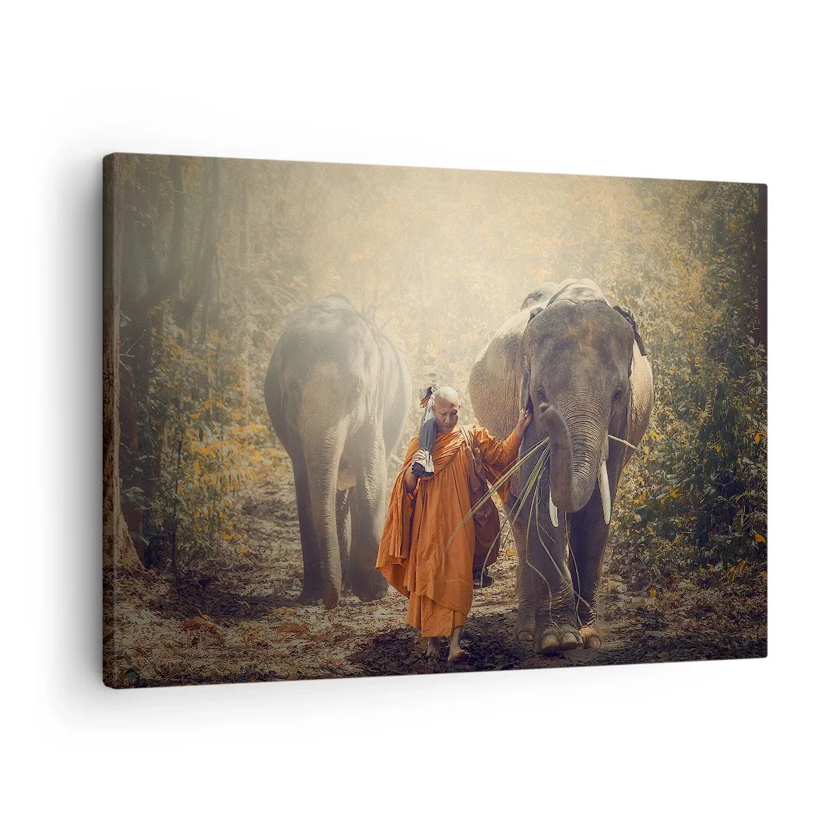 Vászonkép - Egy narancssárga köpenyes szerzetes elefántot vezet az erdőben. - 70x50cm - Teljes megértés - Modern fali dekoráció nappalihoz és hálószobához ARTTOR