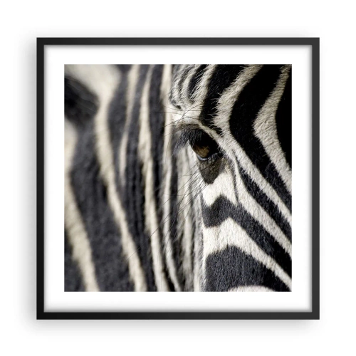 Poszter fehér keretben - Csíkos portré - 50x50 cm