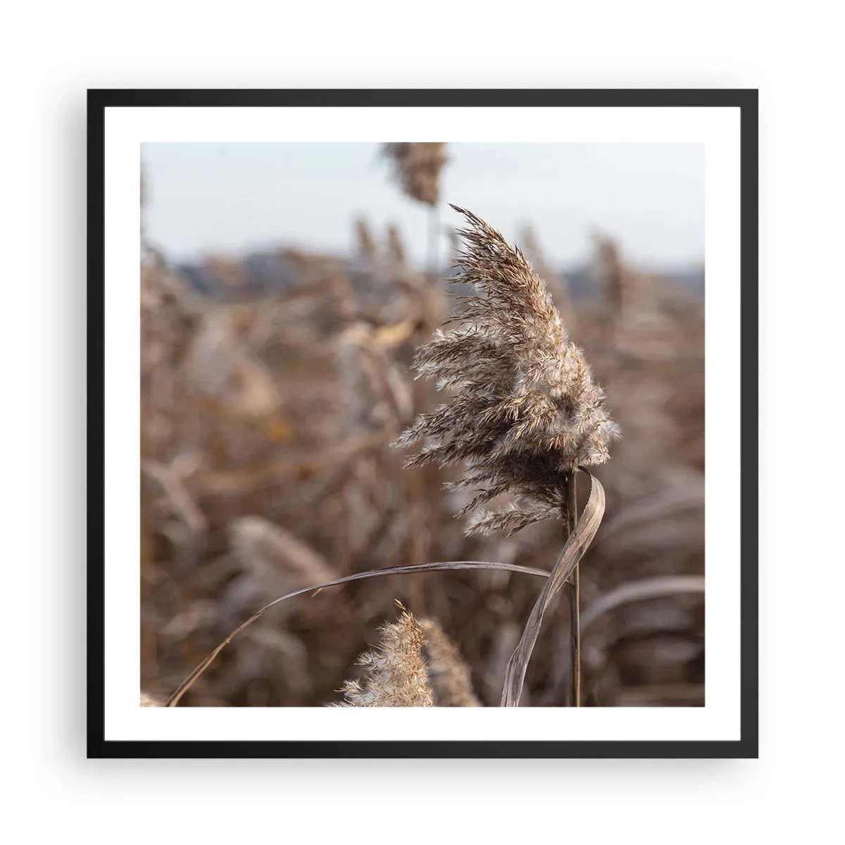 Poszter fehér keretben - Ideje elrepülni a széllel - 60x60 cm