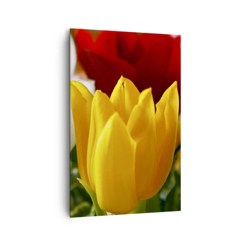 Vászonkép - Tulipán láz - 80x120 cm