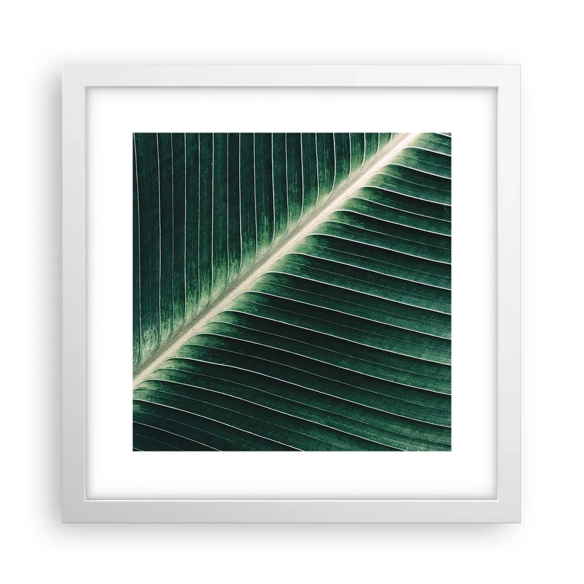 Poszter fekete keretben - A természet ritmusa - 30x30 cm