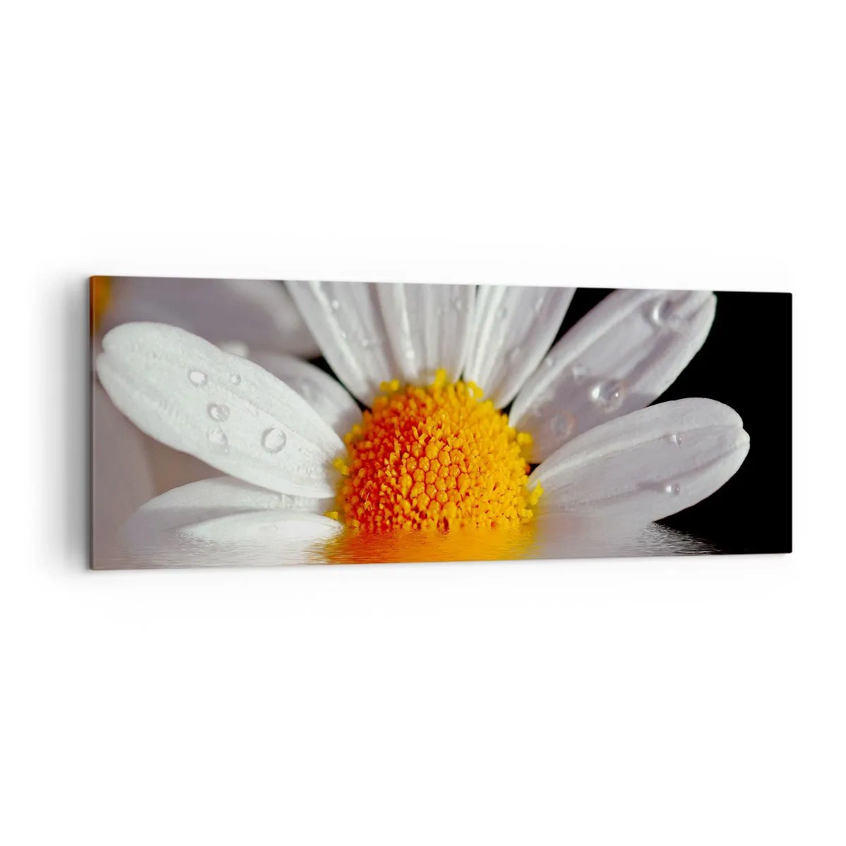 Vászonkép - A százszorszép felkelő napja - 140x50 cm