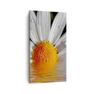 Vászonkép - A százszorszép felkelő napja - 45x80 cm