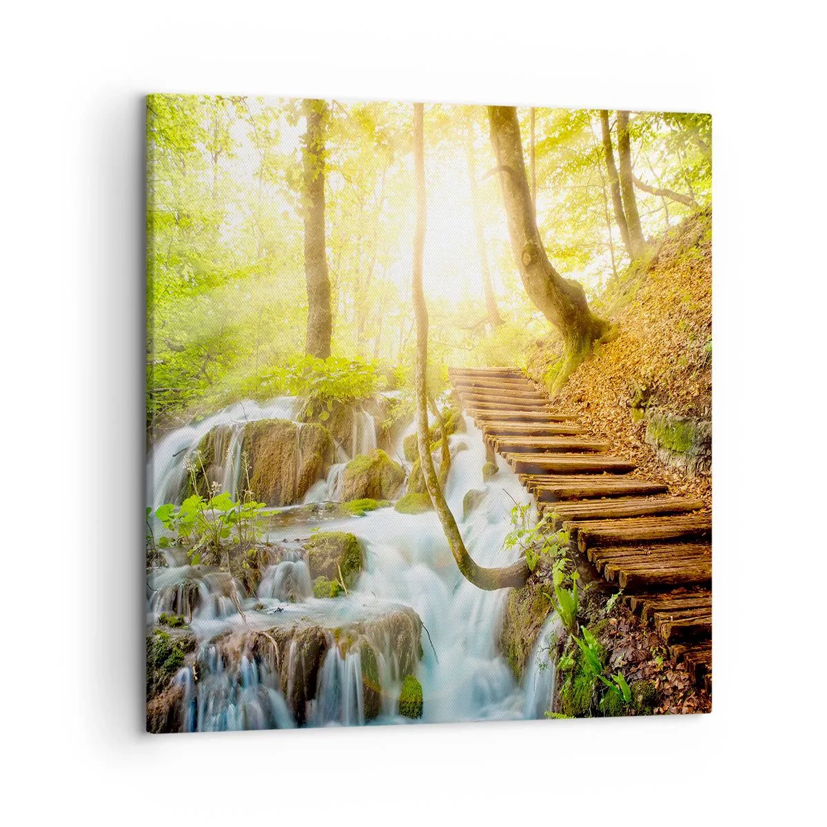 Vászonkép - Vágyott hűs - 50x50 cm