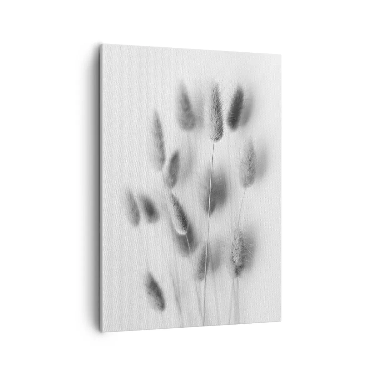 Vászonkép - A bolyhos fű - 50x70 cm