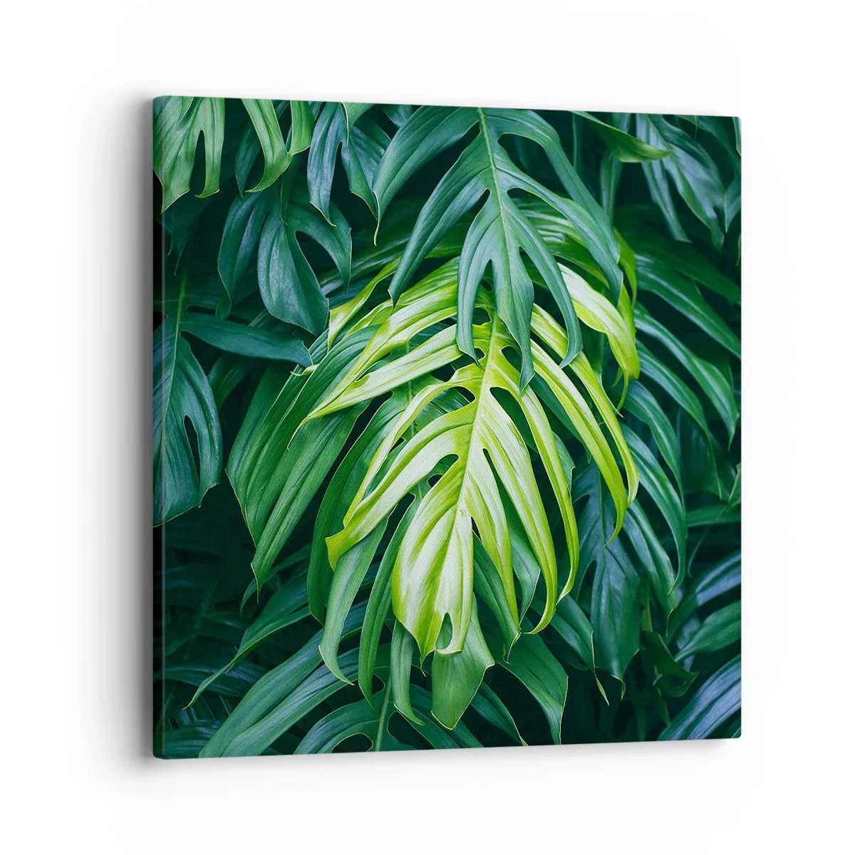 Vászonkép - Merüljön el a frissességben - 40x40 cm