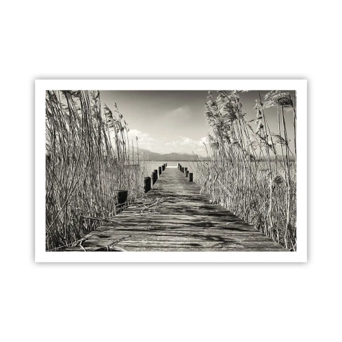 Poszter - A fű csendjében - 91x61 cm