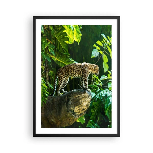 Poszter fehér keretben - Egy leopárd áll egy sziklán egy trópusi erdőben - 50x70cm - A vadászatra? - Modern fali dekoráció nappalihoz és hálószobához ARTTOR