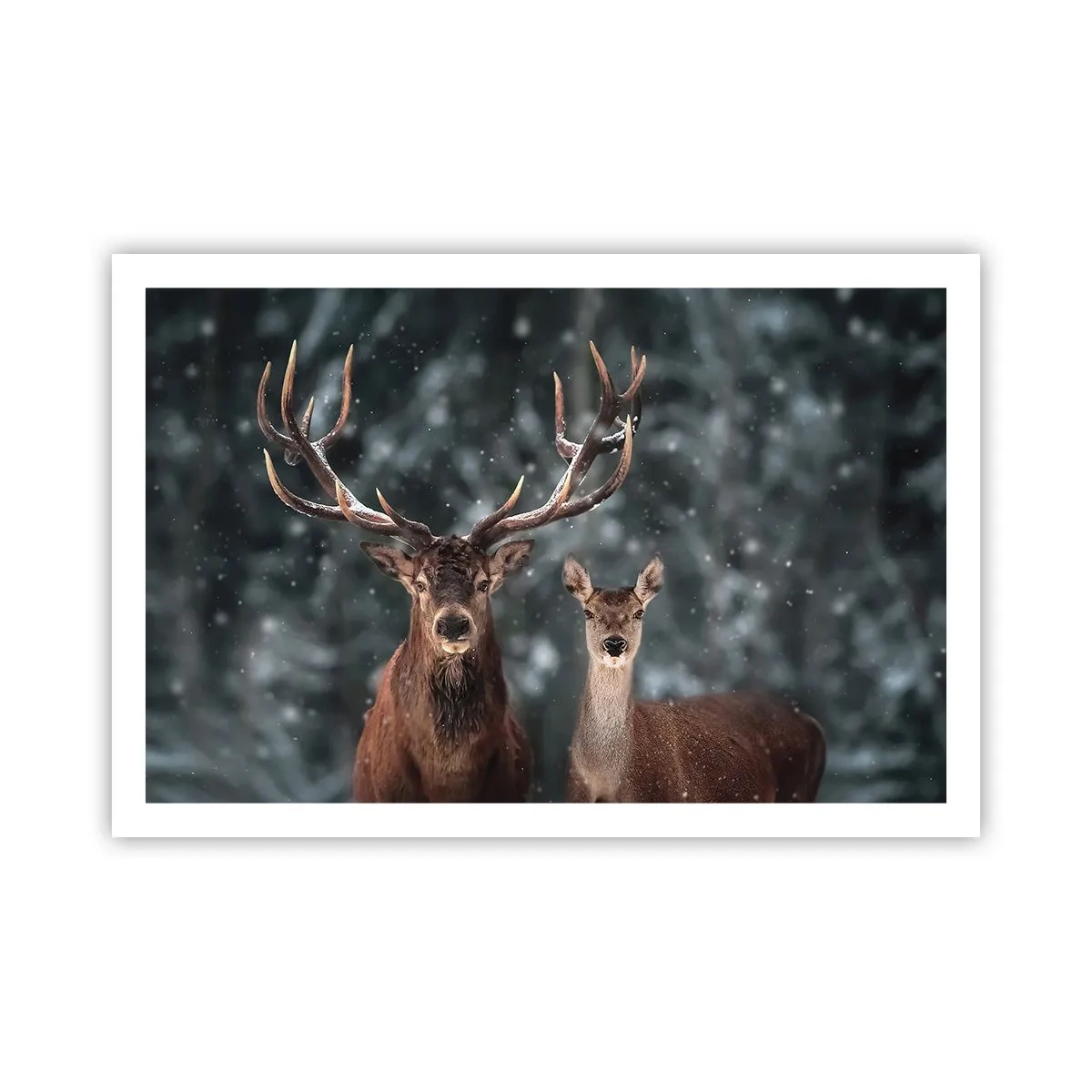 Poszter - Az erdő ura a feleségével - 91x61 cm