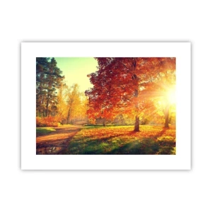 Poszter - A vörös gyönyörű - 40x30 cm