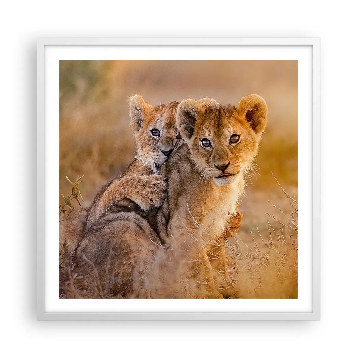 Poszter fekete keretben - Ne zavarni! Szórakozunk - 60x60 cm