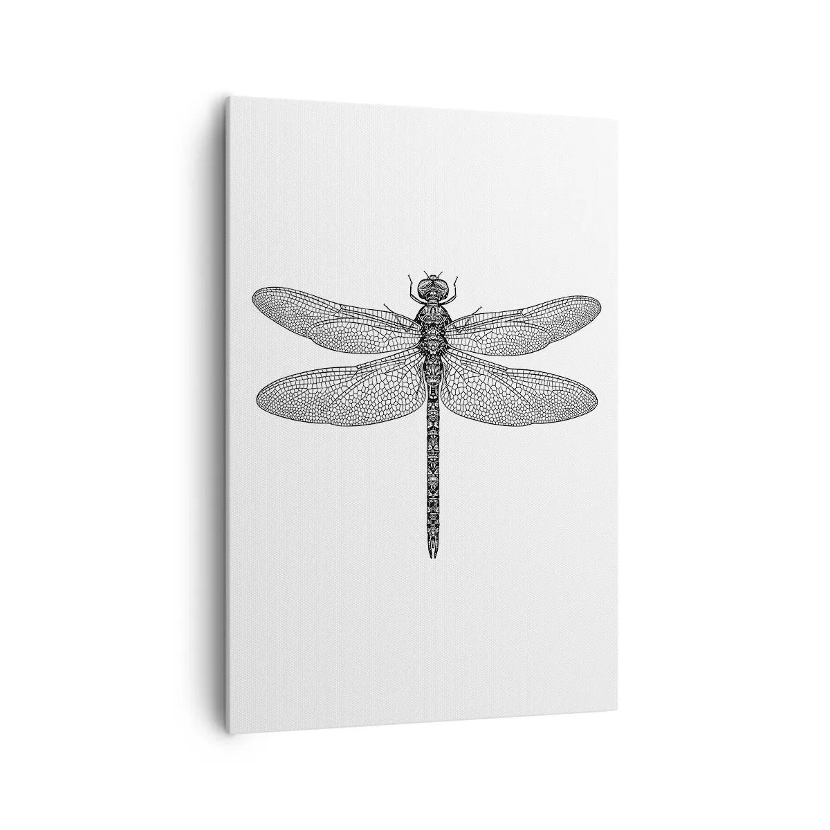 Vászonkép - A természet precizitása - 70x100 cm