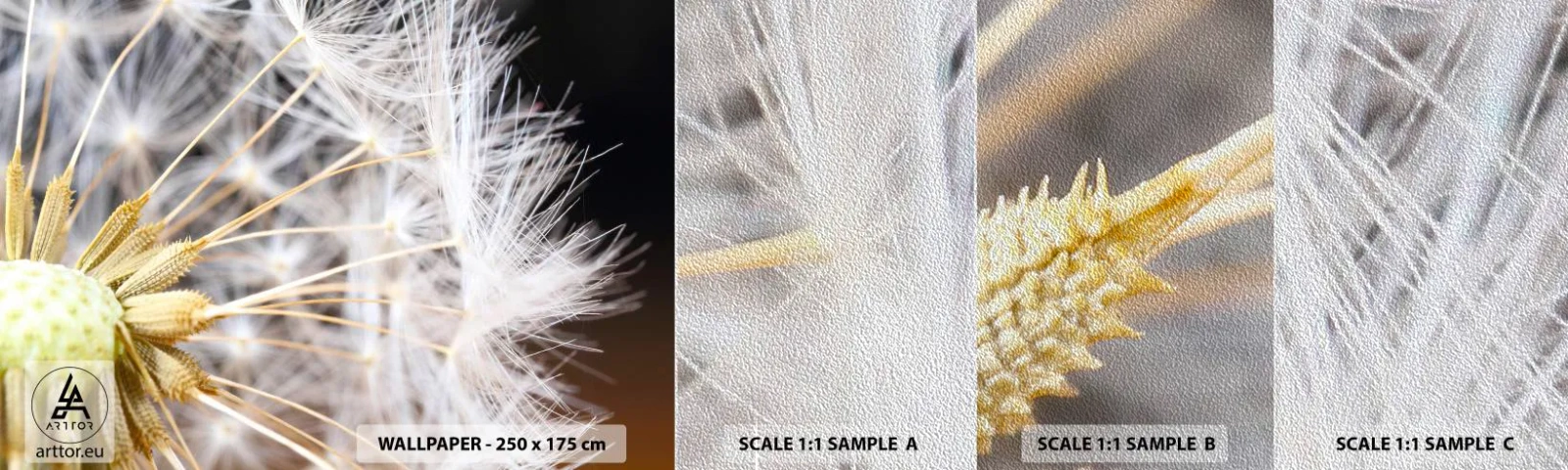 Fotótapéta Minta Premium Sand - Közvetlenül az indulás előtt - Virág, Növény, Természet - 100x30 cm