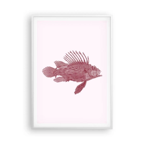 Poszter fekete keretben - Egzotikus vizek lakója - 70x100 cm