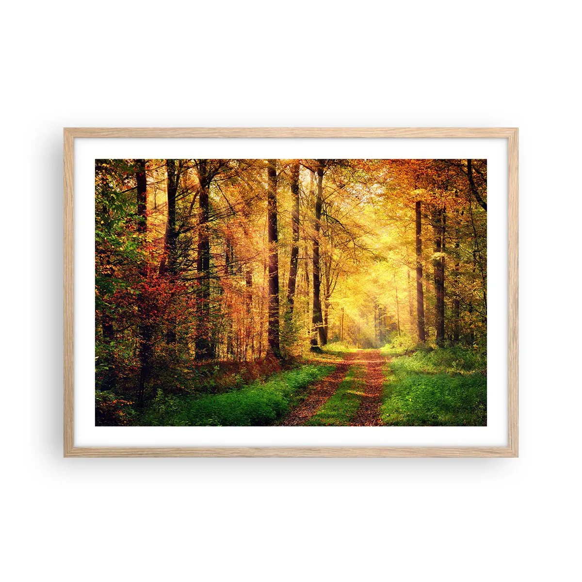 Poszter világos tölgy keretben - Erdei, arany csend - 70x50 cm