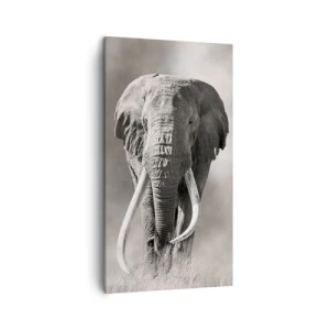 Vászonkép - Afrikai patriarcha - 45x80 cm