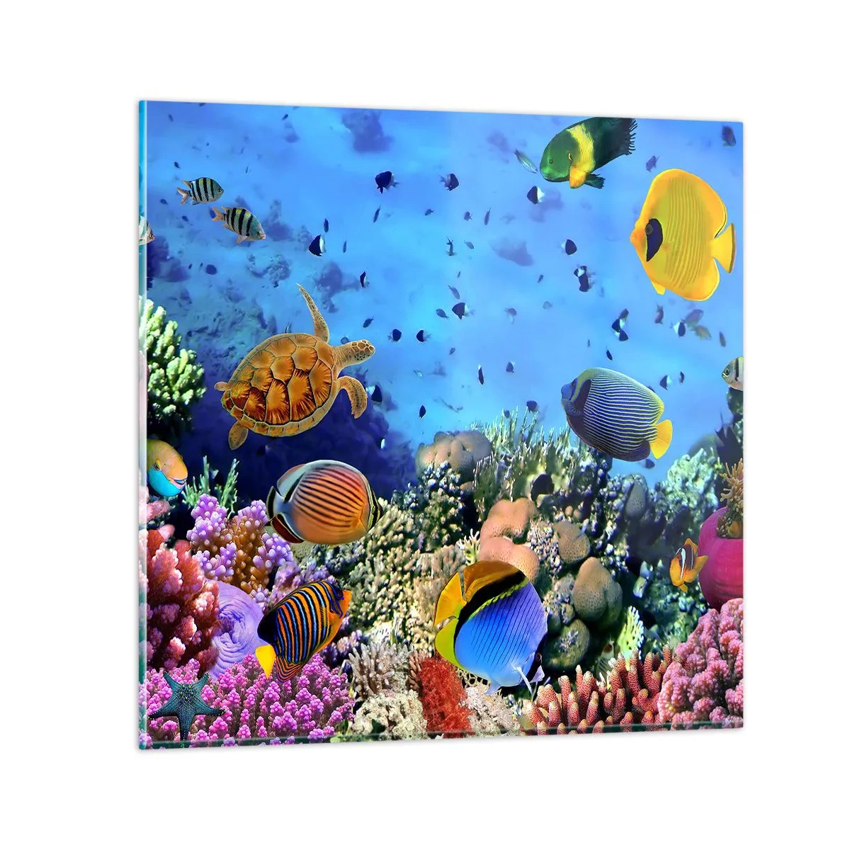 Üveg kép - És mit tudunk az életről... - 70x70 cm