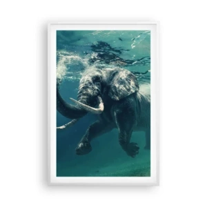 Poszter fekete keretben - Mindenki szeret úszni - 61x91 cm