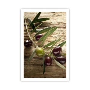 Poszter - Egyenesen a természetből - 61x91 cm