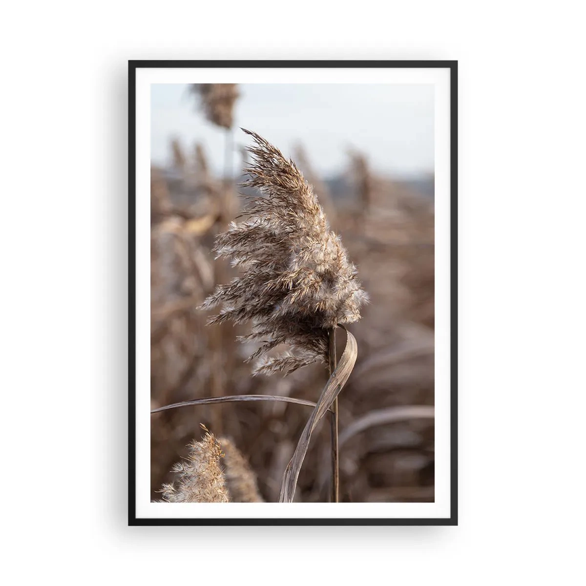 Poszter fehér keretben - Ideje elrepülni a széllel - 70x100 cm