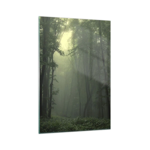 Üveg kép - Mielőtt felébred - 70x100 cm