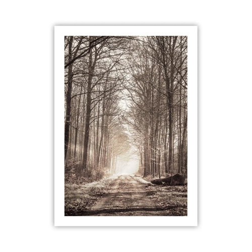 Poszter - Erdei katedrális - 50x70 cm