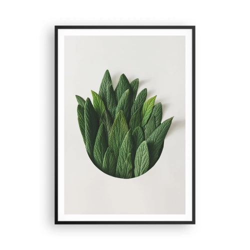 Poszter fehér keretben - Féktelen kíváncsiság - 70x100 cm