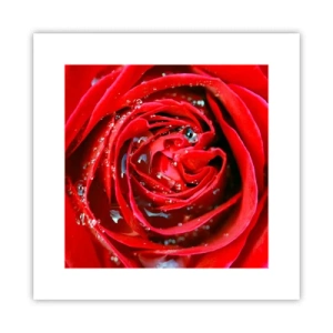 Poszter - A harmatcseppekben - 30x30 cm