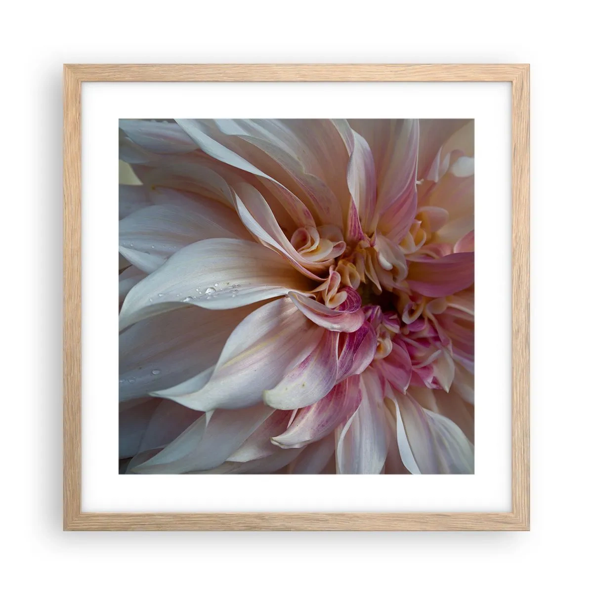 Poszter világos tölgy keretben - Virágzó frissesség - 40x40 cm