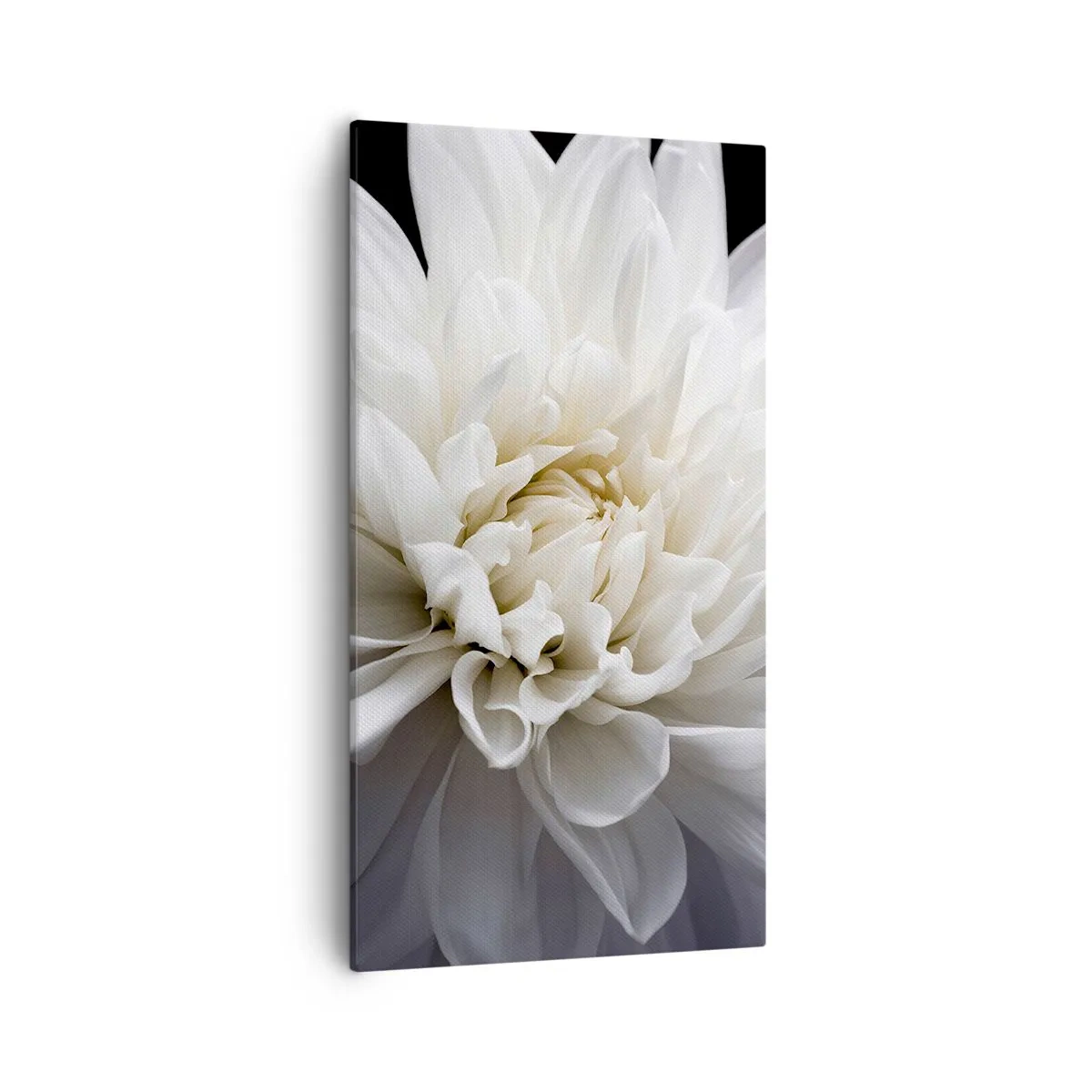 Vászonkép - Menyasszony reggele - 55x100 cm