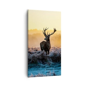 Vászonkép - Megkoronázott a birtokán - 55x100 cm