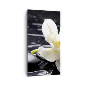 Vászonkép - Egy tanulmány fekete-fehérben - 55x100 cm