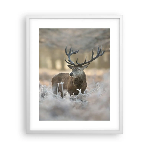 Poszter fekete keretben - Friss reggel - 40x50 cm