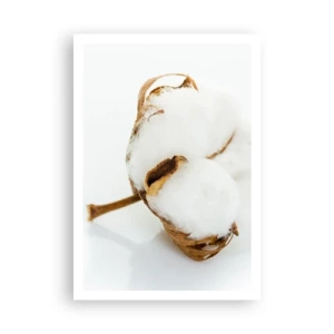 Poszter - Lágy természetű - 70x100 cm