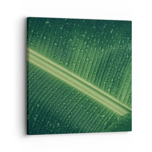 Vászonkép - A növényzet szerkezete - 30x30 cm