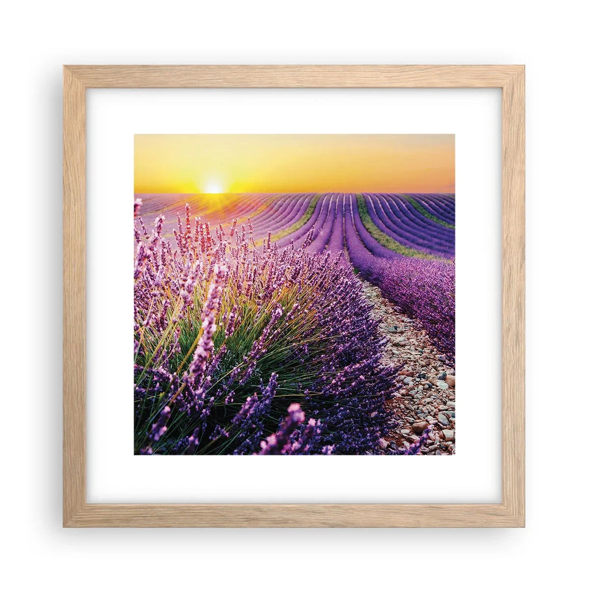 Poszter világos tölgy keretben - Illatos szálak - 30x30 cm