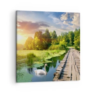 Vászonkép - Nyár, mindenhol nyár - 50x50 cm