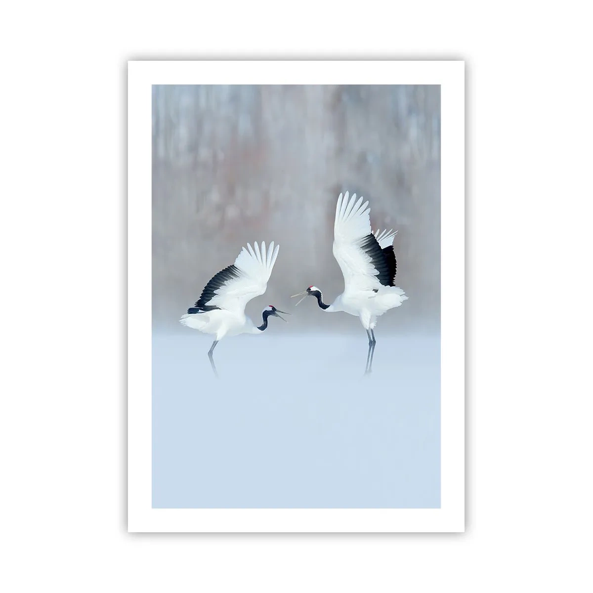 Poszter - Tánc a ködben - 50x70 cm