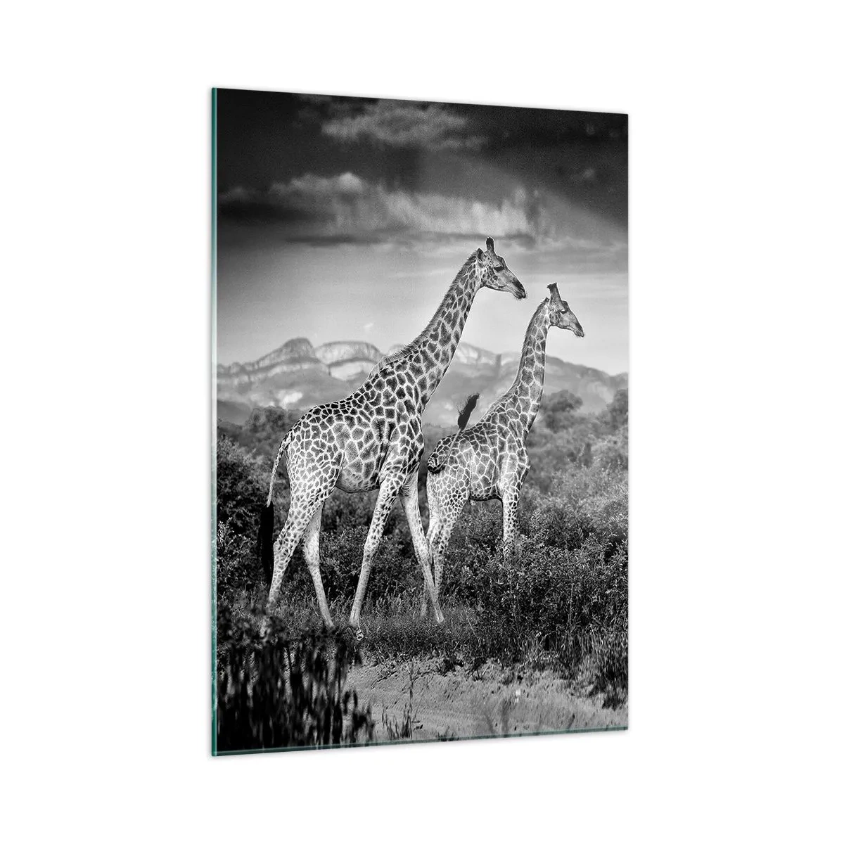 Üveg kép - Magas rangok Afrikában - 50x70 cm
