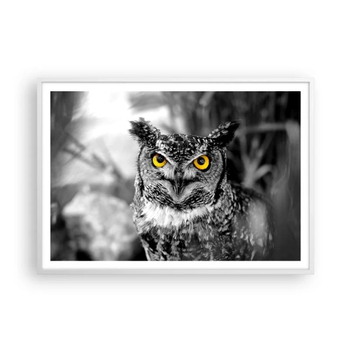 Poszter fekete keretben - Semmi sem fog elbújni - 100x70 cm