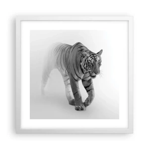 Poszter fekete keretben - Elrejtőzik a ködben - 40x40 cm